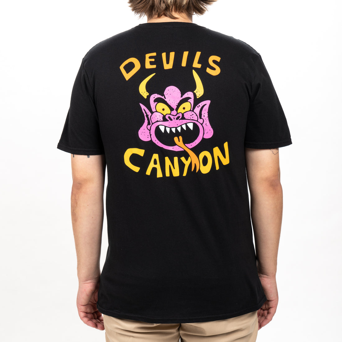 DEVILS CANYON TEE Product Image 4 - Poler